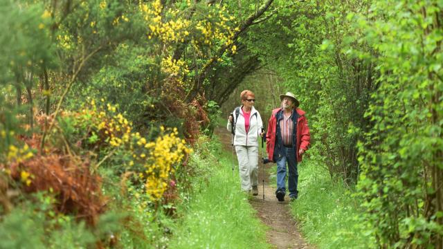 Randonnée pédestre dans la Creuse