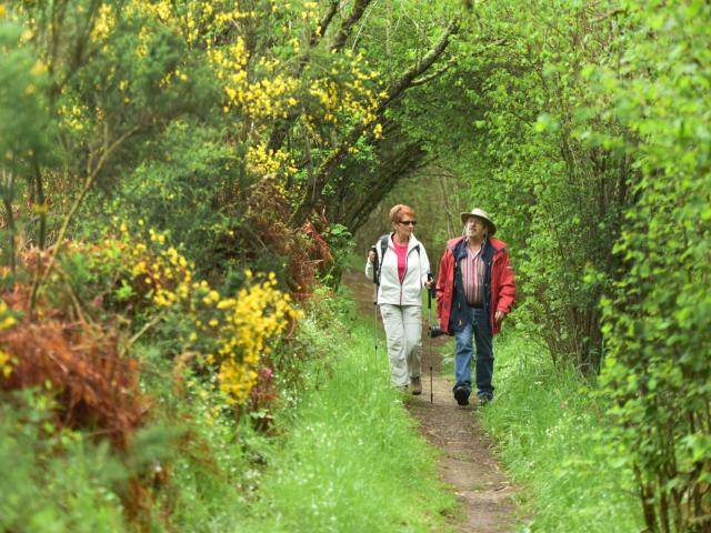 Randonnée pédestre dans la Creuse