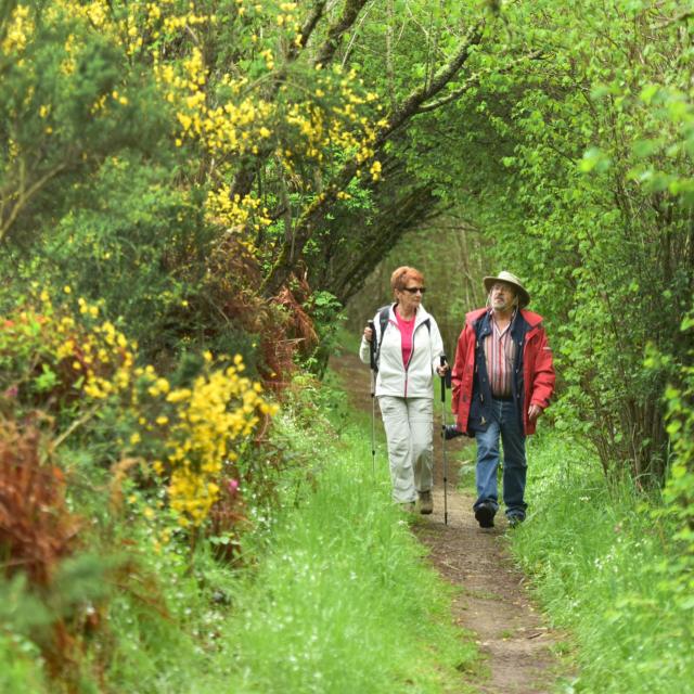 Randonnée pédestre dans la Creuse