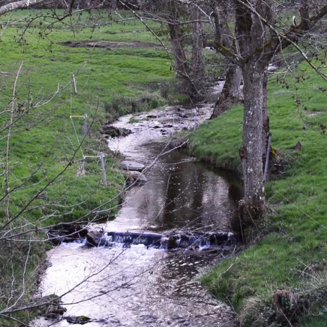 Ruisseau Le Verreau en Creuse