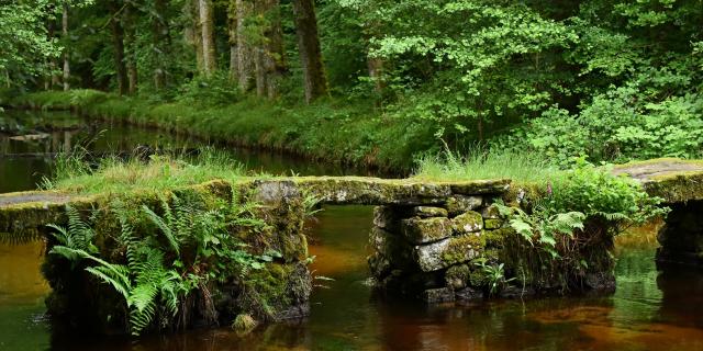 Site de la cascade des Jarrauds