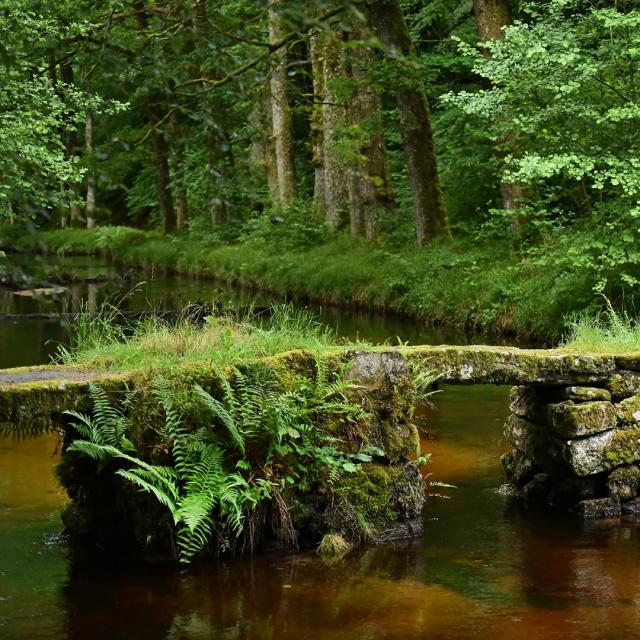 Site de la cascade des Jarrauds