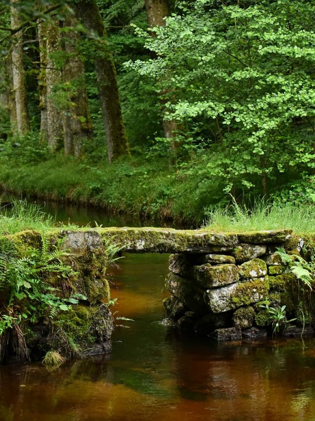 Site de la cascade des Jarrauds