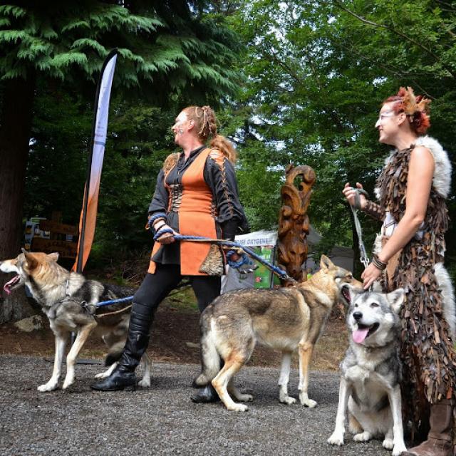 Les Loups De Foret Follies Chabrières©creuse Oxygène, La Creuse