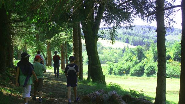 Sous Bois Et Petits Chemins Creusois , La Creuse