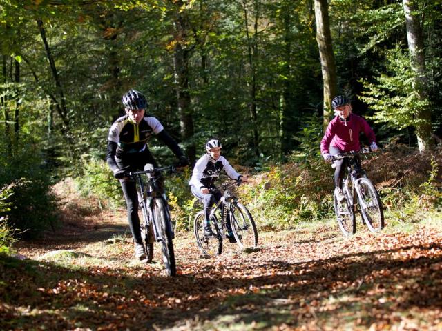 Vtt Descente Mont De Guéret©m. Anglada, La Creuse