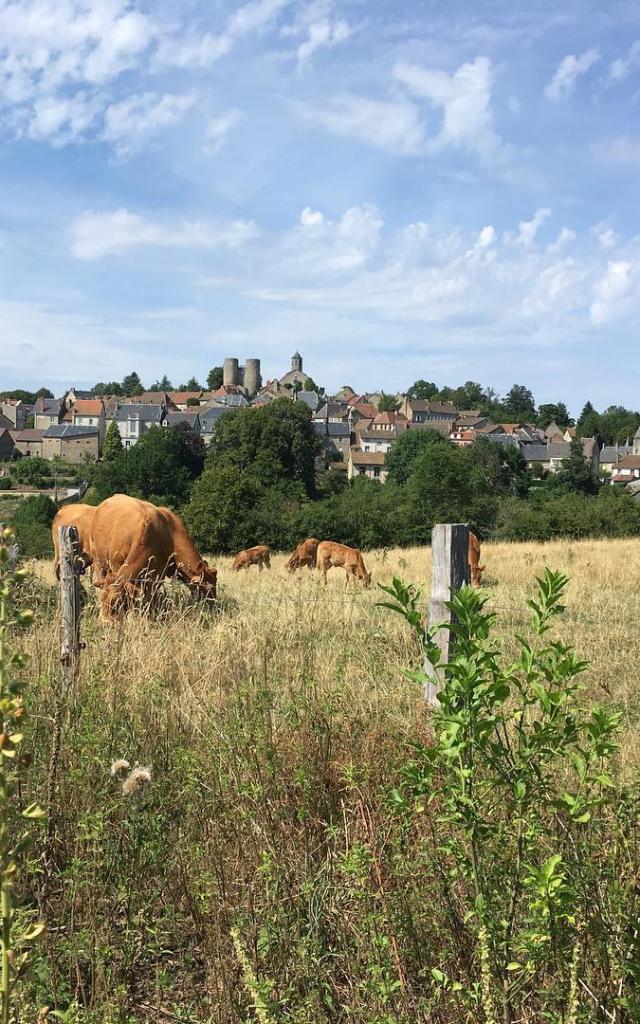 Instagram #creuse