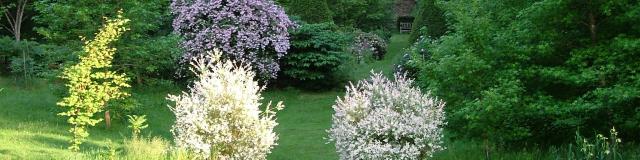 Arboteum De La Sedelle Au Coeur De La Vallée Des Peintres Vacances Creuse