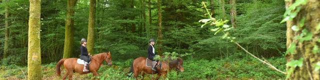 bourganeuf-foret-d-epagne-equitation-credit-j-damase-2016-5.jpg