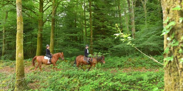 bourganeuf-foret-d-epagne-equitation-credit-j-damase-2016-5.jpg