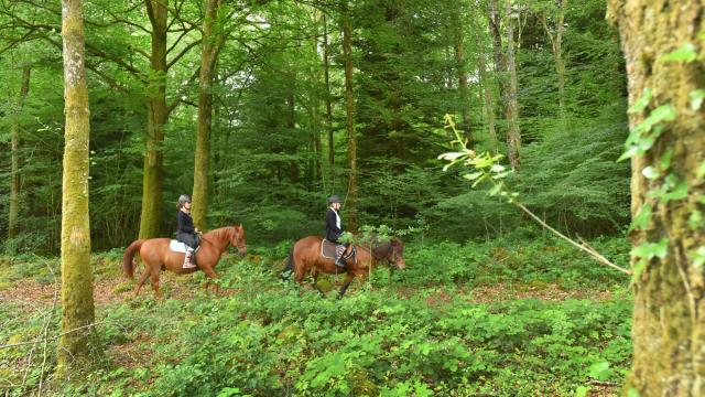 Forêt d'Epagne-equitation-vtt-rando-Syndicat Mixte du Pays Sud Creusois-02/07/2016