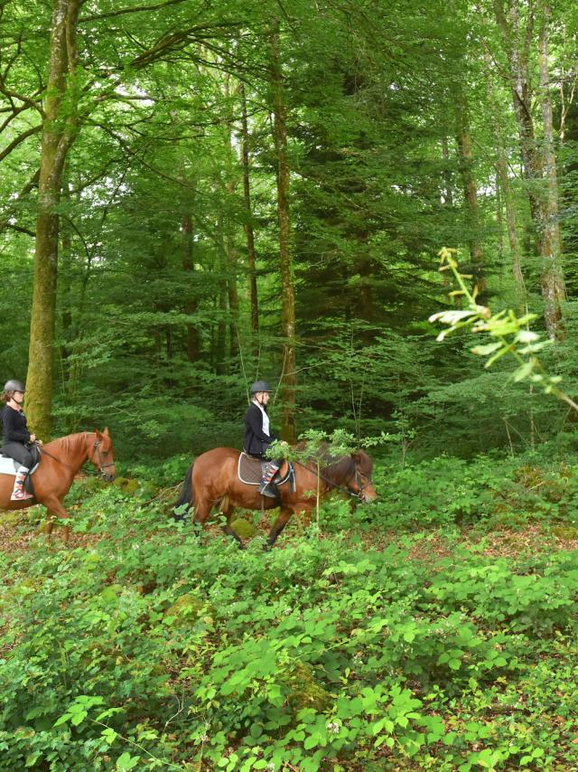 Forêt d'Epagne-equitation-vtt-rando-Syndicat Mixte du Pays Sud Creusois-02/07/2016