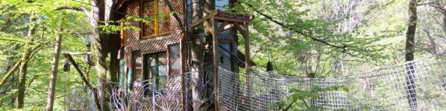 Cabane dans les arbres