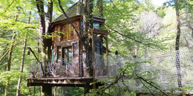 Cabane dans les arbres