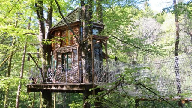 Cabane dans les arbres