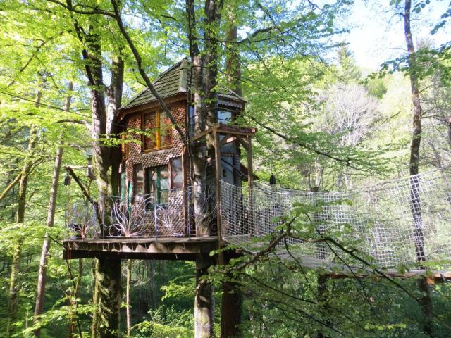 Cabane dans les arbres