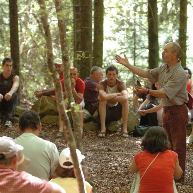 Parc.aux.loups.rando.musicale