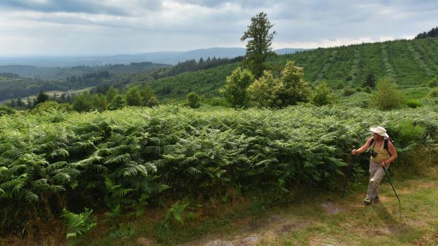 La Roche Guéry à St Goussaud-Creuse-dépt.23