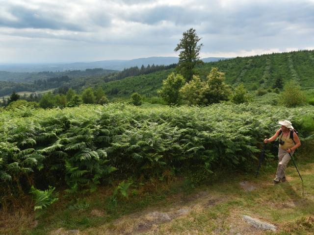 st-goussaud-roche-guery-credit-j-damase-2016-2.jpg