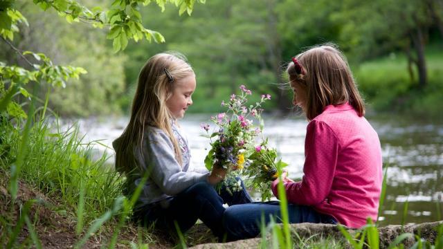 Enfants au bord d'une rivière