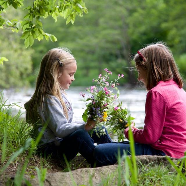 Enfants au bord d'une rivière