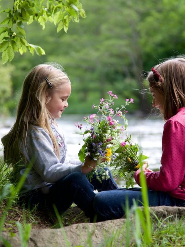 Enfants au bord d'une rivière