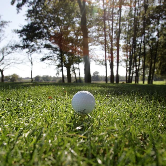 Balle De Golf De La Jonchère