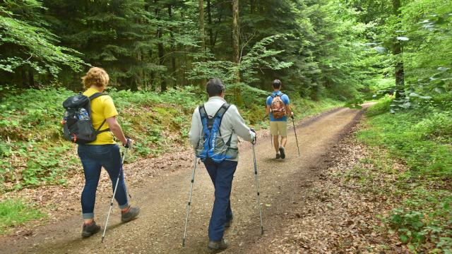 Forêt d'Épagne - Creuse Sud Ouest