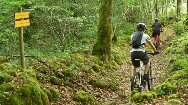 bourganeuf-foret-d-epagne-vtt-credit-j-damase-2016-9.jpg