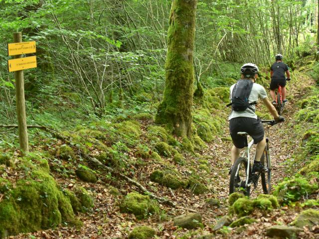 Forêt d'Épagne - Creuse Sud Ouest