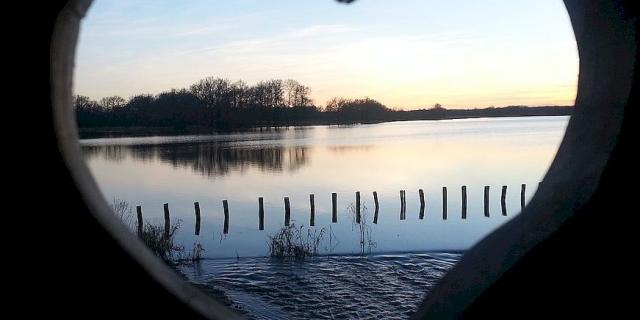 Coeur Etang Des Landes