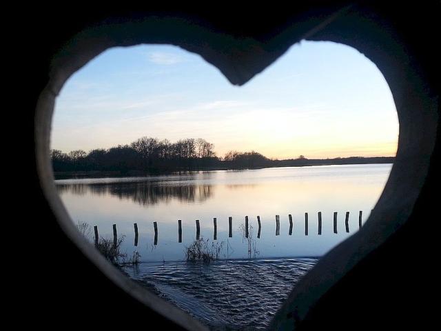 Coeur Etang Des Landes