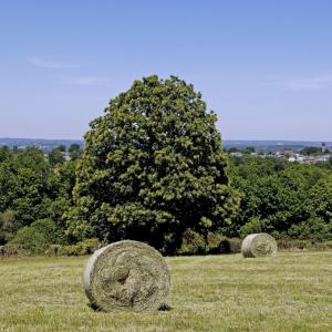 Haystack - countryside landscape, nature ©J.Damase