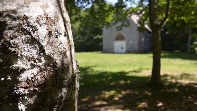 Randonnée Saint Agnant près Croq