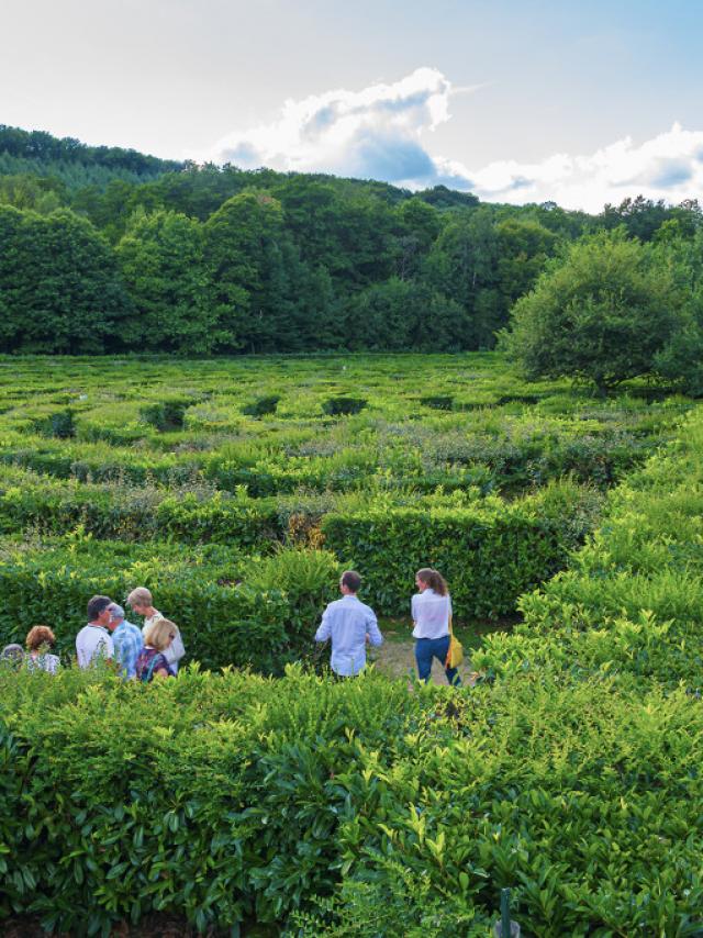 Labyrinthe Géant de Guéret ©S.Frey