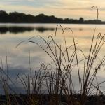 Etang des landes-réserve naturelle nationale-Lussat-dépt.23