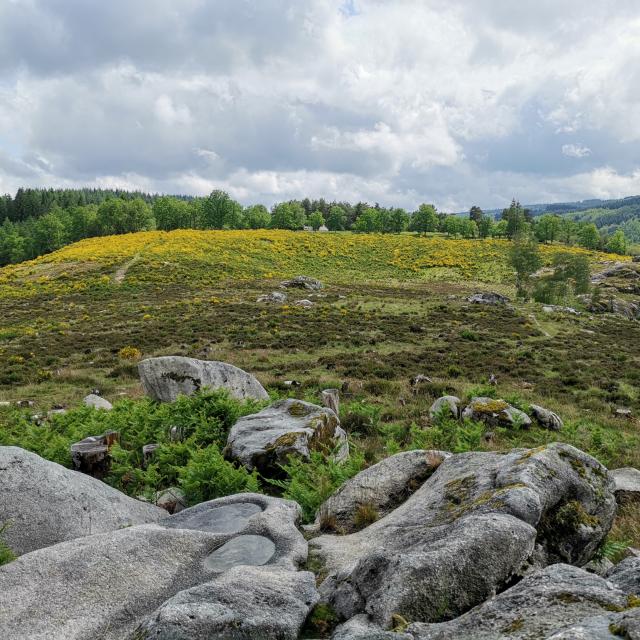 Landes et tourbières de la Mazure