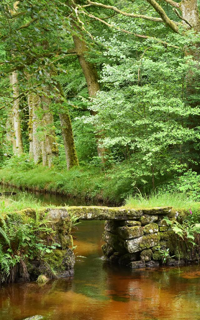 site-de-la-cascade-des-jarrauds-vtt-et-rando-jda-0281.jpeg