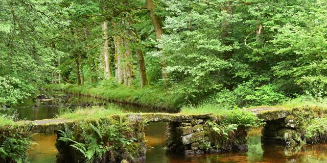 site-de-la-cascade-des-jarrauds-vtt-et-rando-jda-0281.jpeg