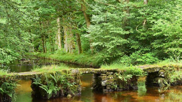 site-de-la-cascade-des-jarrauds-vtt-et-rando-jda-0281.jpeg