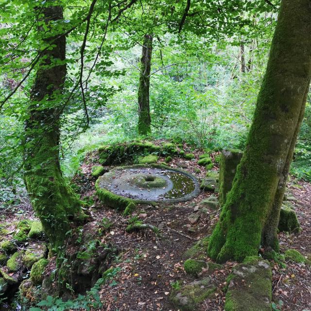 Moulin à chanvre aux cascades d'Augerolles