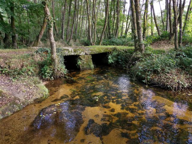 Pont planche les cascades d'Augerolles