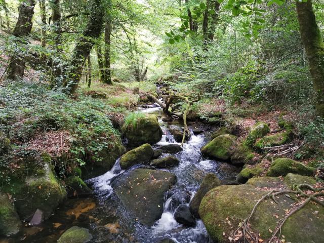 Cascades d'Augerolles