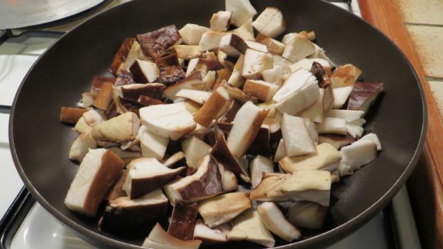 Cèpes - champignons en Creuse