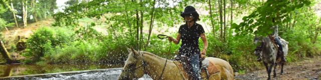 Équitation dans la Creuse