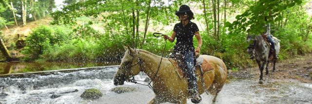 Équitation dans la Creuse