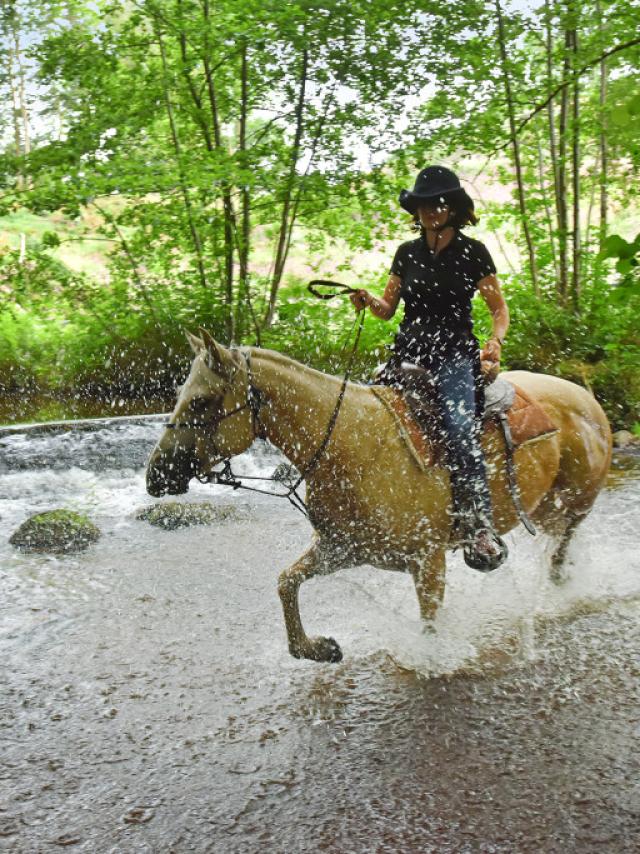 Équitation dans la Creuse