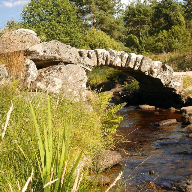 pont-de-senoueix-ot.jpg