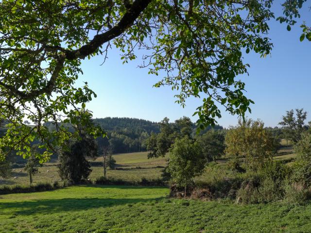 Paysage - Plateau de Millevaches