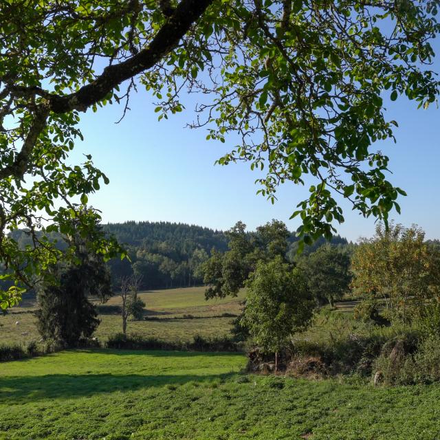 Paysage - Plateau de Millevaches